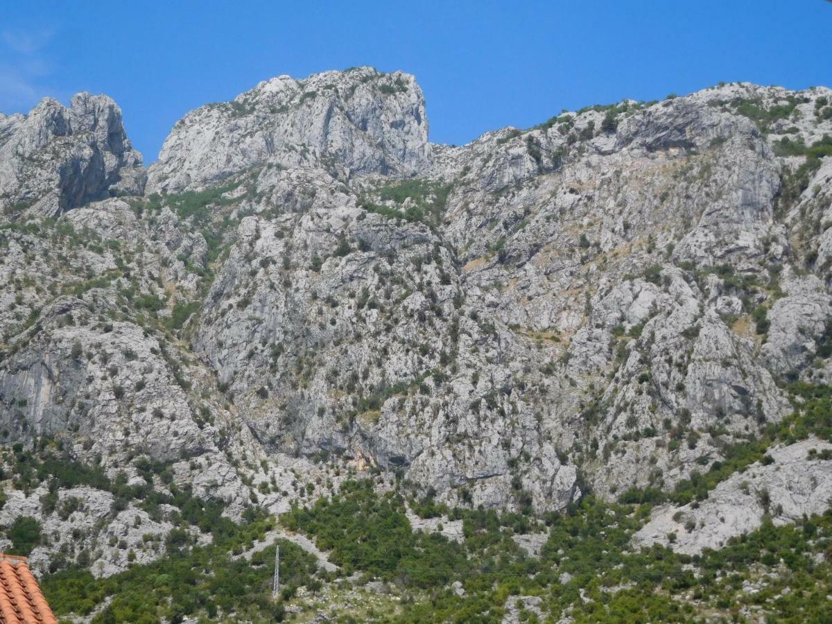Villa Aronija Kotor Exterior foto